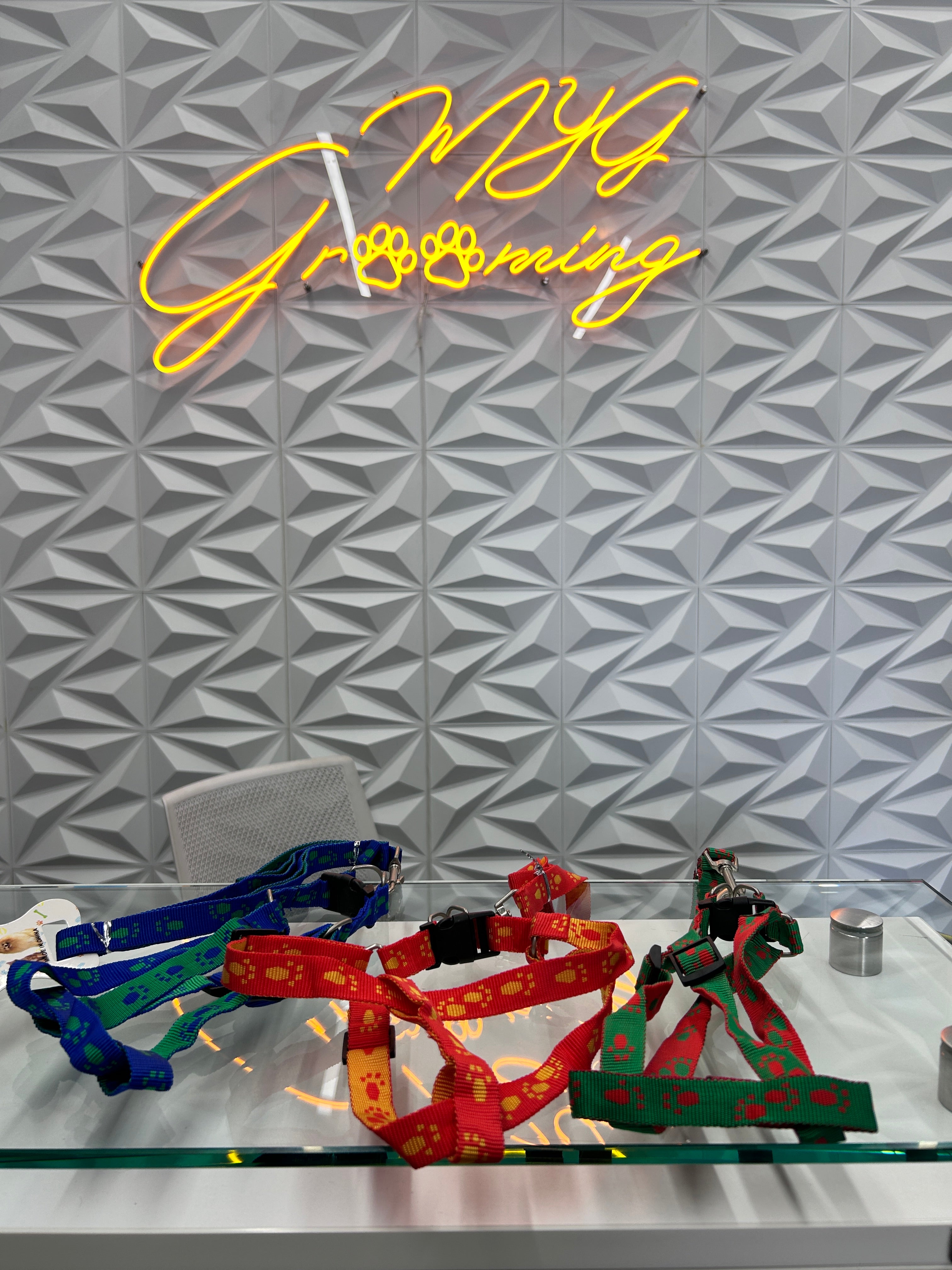 Harness with leash XL