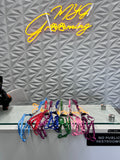 Harness with leash XS