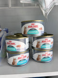 Royal Canin Cat Can Food