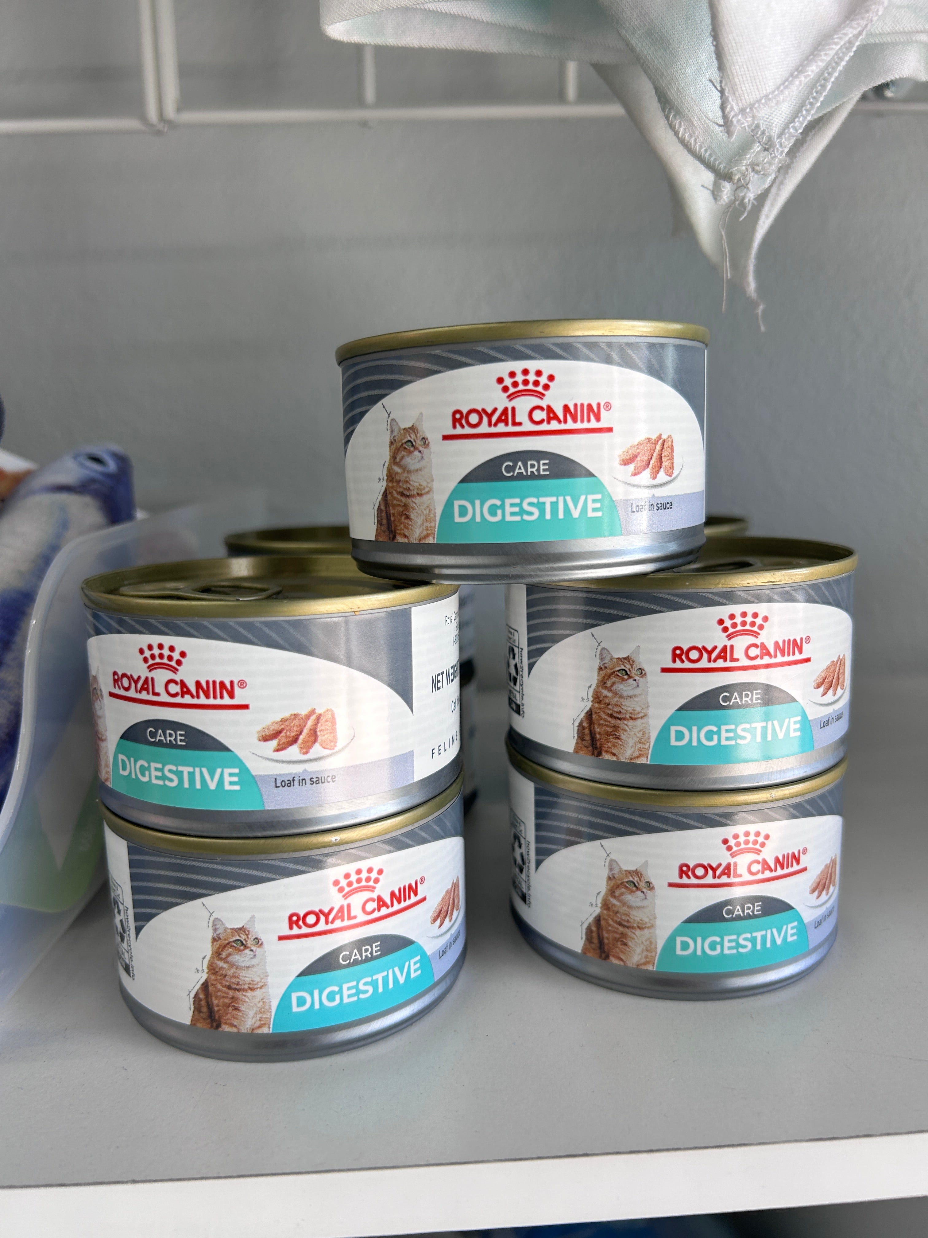 Royal Canin Cat Can Food