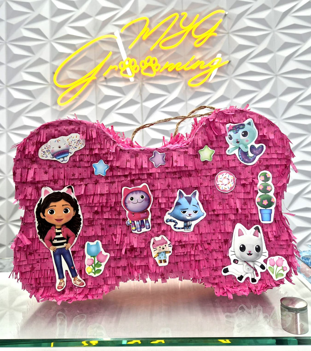 Piñata For Dogs