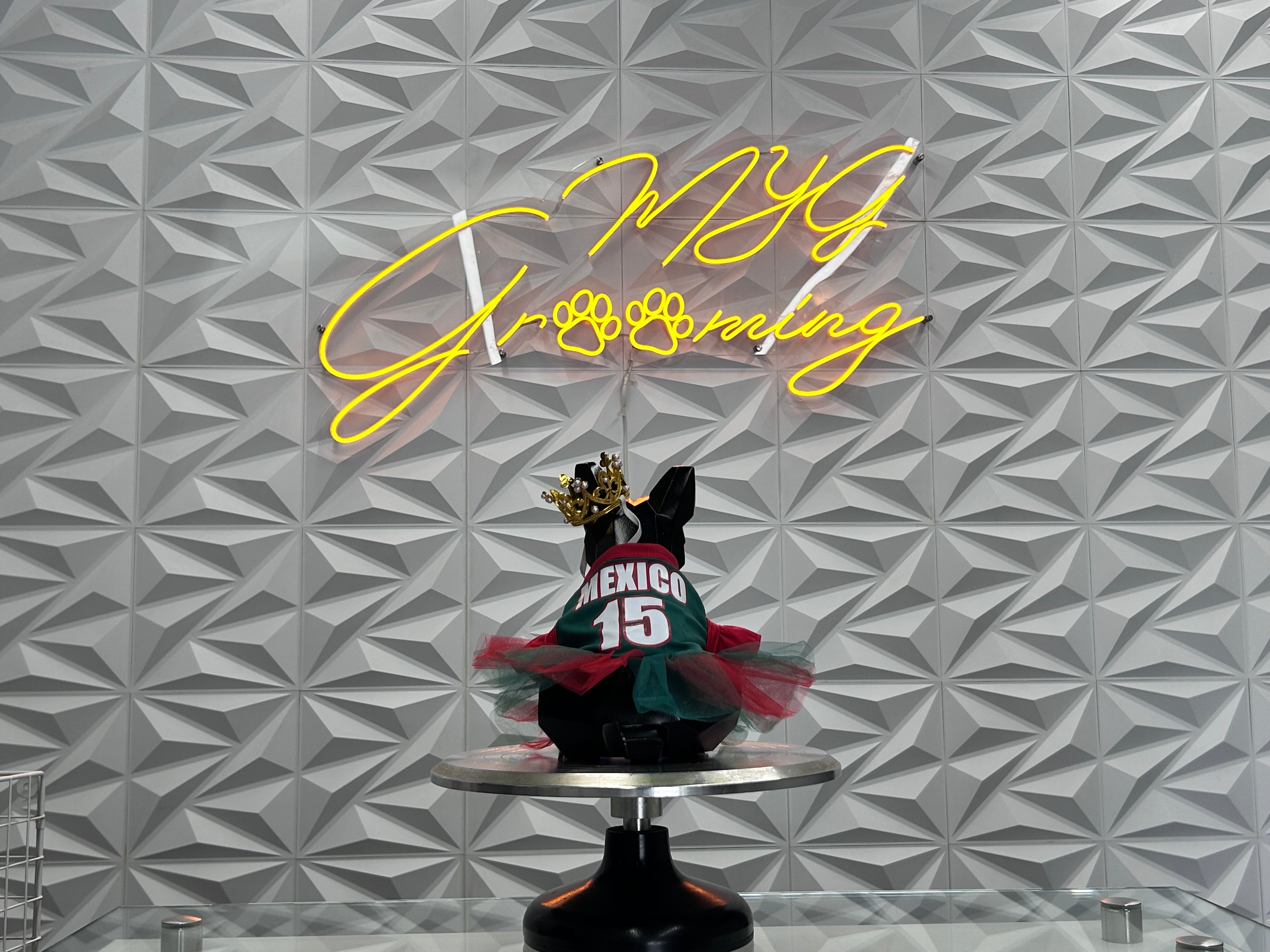 Mexico Team Dog Dress