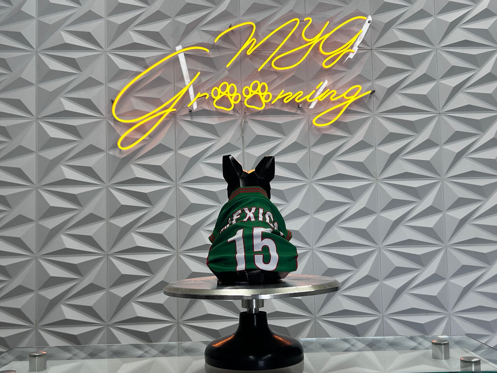 Mexico Team Dog Shirt