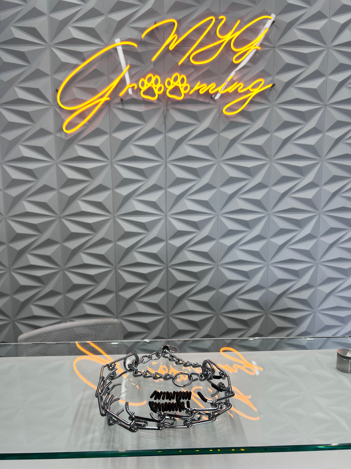 Prong Collar Training Collar